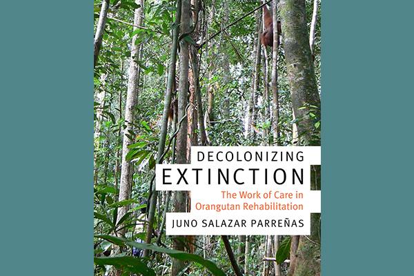 Cover of Decolonizing Extinction book (forest with orangutan in a tree)