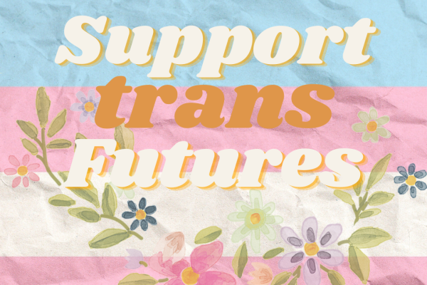 Support Trans Futures Donation Flyer